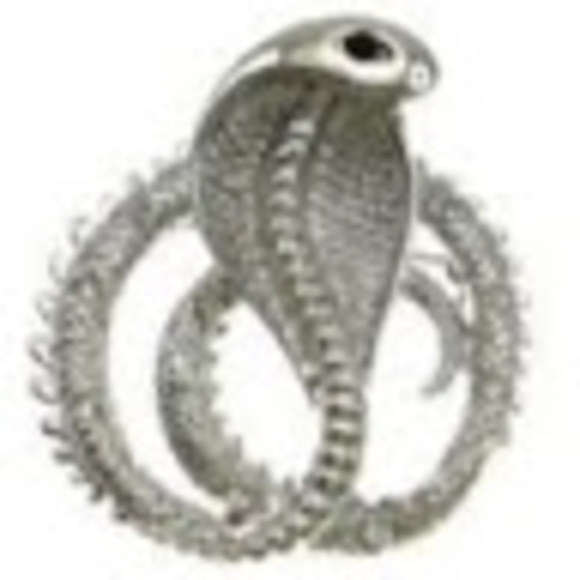 Meet your Posher, Susan - Picture 1 of 1